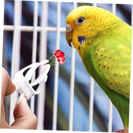 6 Stück Vogel Gemüse Obsthalter Kanarienkäfig Papageien Gemüseklammern Papageien Obstklammern Vogelkäfig Wellensittich Leckerlis Vogel Reisekäfig Vogelfutter 6 Stück Vogel Gemüse Obsthalter Kanarienkäfig Papageien Gemüseklammern Papageien Obstklammern Vogelkäfig Wellensittich Leckerlis Vogel Reisekäfig Vogelfutter