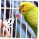 6 Stück Vogel Gemüse Obsthalter Kanarienkäfig Papageien Gemüseklammern Papageien Obstklammern Vogelkäfig Wellensittich Leckerlis Vogel Reisekäfig Vogelfutter 6 Stück Vogel Gemüse Obsthalter Kanarienkäfig Papageien Gemüseklammern Papageien Obstklammern Vogelkäfig Wellensittich Leckerlis Vogel Reisekäfig Vogelfutter