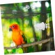6 Stück Vogel Gemüse Obsthalter Kanarienkäfig Papageien Gemüseklammern Papageien Obstklammern Vogelkäfig Wellensittich Leckerlis Vogel Reisekäfig Vogelfutter 6 Stück Vogel Gemüse Obsthalter Kanarienkäfig Papageien Gemüseklammern Papageien Obstklammern Vogelkäfig Wellensittich Leckerlis Vogel Reisekäfig Vogelfutter