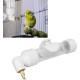 Automatic Drinking Device for Parrots, Bite Pen Spout, Acrylic Safe Bird Drinking Bottle with Large Capacity for Small Medium Parrots for Bird Cage Accessories (White)