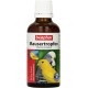 BEAPHAR - Mausertropfen Vitamin-Komplex - Nahrungsergänzungsmittel Für Vögel - Mit Vitamin A, C, D3, E, K, B-Komplex - Unterstützt Natürliche Abwehrkräfte, Fördert Sprech- Und Sangesfreude - 50 ml BEAPHAR - Mausertropfen Vitamin-Komplex - Nahrungsergänzungsmittel Für Vögel - Mit Vitamin A, C, D3, E, K, B-Komplex - Unterstützt Natürliche Abwehrkräfte, Fördert Sprech- Und Sangesfreude - 50 ml