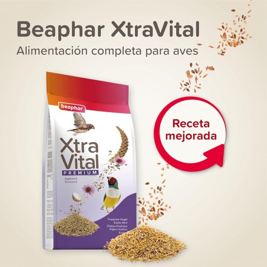 Beaphar - XtraVital Exotics - All-in-One Premium Food for Exotics - 500 g Beaphar - XtraVital Exotics - All-in-One Premium Food for Exotics - 500 g