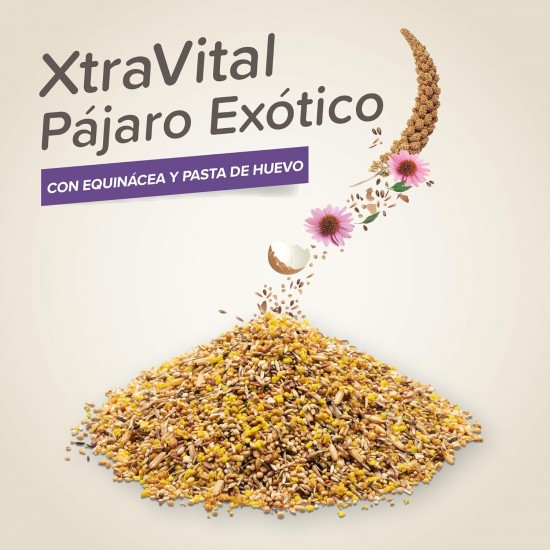 Beaphar - XtraVital Exotics - All-in-One Premium Food for Exotics - 500 g Beaphar - XtraVital Exotics - All-in-One Premium Food for Exotics - 500 g