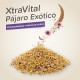Beaphar - XtraVital Exotics - All-in-One Premium Food for Exotics - 500 g Beaphar - XtraVital Exotics - All-in-One Premium Food for Exotics - 500 g
