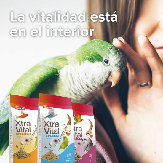 Beaphar - XtraVital Exotics - All-in-One Premium Food for Exotics - 500 g Beaphar - XtraVital Exotics - All-in-One Premium Food for Exotics - 500 g
