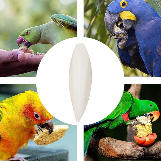 Bird Cuttle Bone, Natural Calcium Supplement, 4.72 x 2.36 in Nutritional Support, 4 Pieces Beak Sharpening Aid, Multi Birds Cuttles for Cockatiels, Parakeets, Conures, Budgies Bird Cuttle Bone, Natural Calcium Supplement, 4.72 x 2.36 in Nutritional Support, 4 Pieces Beak Sharpening Aid, Multi Birds Cuttles for Cockatiels, Parakeets, Conures, Budgies