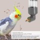 GLOGLOW Automatic Drinking Device for Parrots, Bite Pen Spout, Acrylic Safe Bird Drinking Bottle with Large Capacity for Small Medium Parrots for Bird Cage Accessories (Grey) GLOGLOW Automatic Drinking Device for Parrots, Bite Pen Spout, Acrylic Safe Bird Drinking Bottle with Large Capacity for Small Medium Parrots for Bird Cage Accessories (Grey)