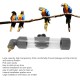 GLOGLOW Automatic Drinking Device for Parrots, Bite Pen Spout, Acrylic Safe Bird Drinking Bottle with Large Capacity for Small Medium Parrots for Bird Cage Accessories (Grey) GLOGLOW Automatic Drinking Device for Parrots, Bite Pen Spout, Acrylic Safe Bird Drinking Bottle with Large Capacity for Small Medium Parrots for Bird Cage Accessories (Grey)