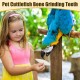 Generisch SALAKEET CUTLEBONE - Natural Calcium Chew, Schnabel Conditioner Stick | Mineral Feeding Aid für Tiervögel Gesundheitsversorgung, Bio -Schale für Cockatiels Conures Brueda DAR. Generisch SALAKEET CUTLEBONE - Natural Calcium Chew, Schnabel Conditioner Stick | Mineral Feeding Aid für Tiervögel Gesundheitsversorgung, Bio -Schale für Cockatiels Conures Brueda DAR.