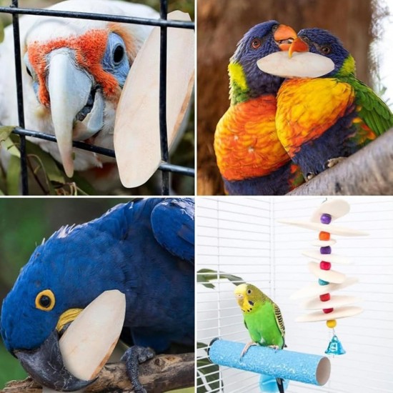 Generisch SALAKEET CUTLEBONE - Natural Calcium Chew, Schnabel Conditioner Stick | Mineral Feeding Aid für Tiervögel Gesundheitsversorgung, Bio -Schale für Cockatiels Conures Brueda DAR. Generisch SALAKEET CUTLEBONE - Natural Calcium Chew, Schnabel Conditioner Stick | Mineral Feeding Aid für Tiervögel Gesundheitsversorgung, Bio -Schale für Cockatiels Conures Brueda DAR.