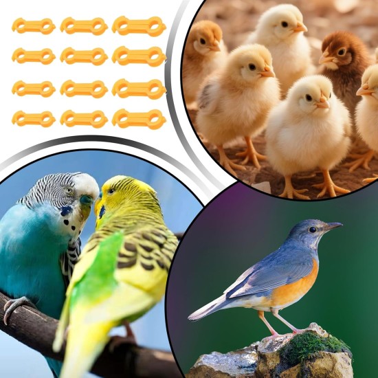 Kükenbein-Schienen Spreizer | 12 Stück Korrekturhilfen Für Spreizbeine - Tiergesundheitsbedarf Für Geflügel & Ziervögel Kükenbein-Schienen Spreizer | 12 Stück Korrekturhilfen Für Spreizbeine - Tiergesundheitsbedarf Für Geflügel & Ziervögel