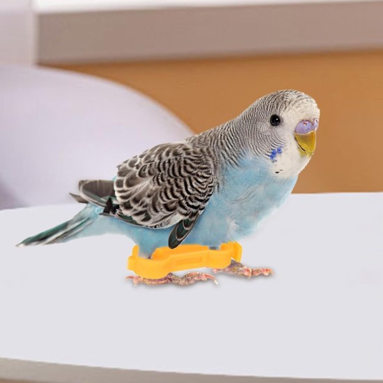 Kükenbein-Schienen Spreizer | 12 Stück Korrekturhilfen Für Spreizbeine - Tiergesundheitsbedarf Für Geflügel & Ziervögel Kükenbein-Schienen Spreizer | 12 Stück Korrekturhilfen Für Spreizbeine - Tiergesundheitsbedarf Für Geflügel & Ziervögel