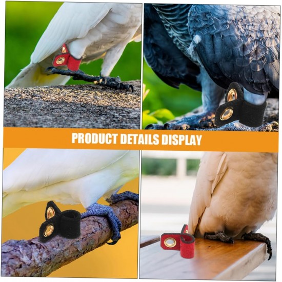 Levemolo Pack of 4 Bird Legs Rings for Parrots, Adjustable and Comfortable Foot Rings Made of Durable for Identification of Pets, Birds, Various Levemolo Pack of 4 Bird Legs Rings for Parrots, Adjustable and Comfortable Foot Rings Made of Durable for Identification of Pets, Birds, Various