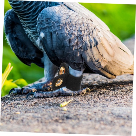 Levemolo Pack of 4 Bird Legs Rings for Parrots, Adjustable and Comfortable Foot Rings Made of Durable for Identification of Pets, Birds, Various Levemolo Pack of 4 Bird Legs Rings for Parrots, Adjustable and Comfortable Foot Rings Made of Durable for Identification of Pets, Birds, Various