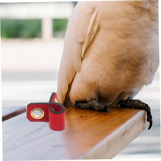 Levemolo Pack of 4 Bird Legs Rings for Parrots, Adjustable and Comfortable Foot Rings Made of Durable for Identification of Pets, Birds, Various Levemolo Pack of 4 Bird Legs Rings for Parrots, Adjustable and Comfortable Foot Rings Made of Durable for Identification of Pets, Birds, Various