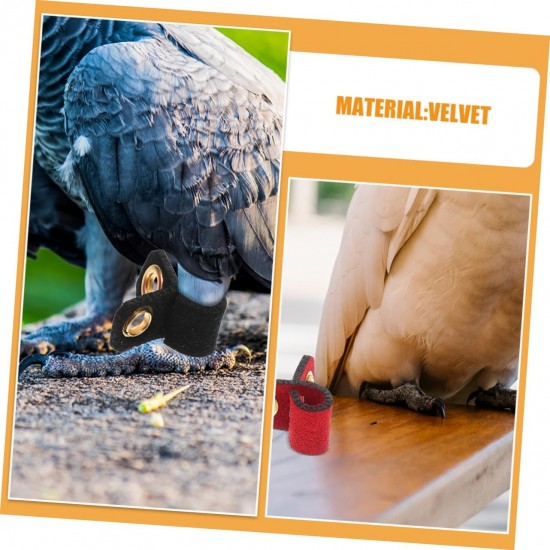 Levemolo Pack of 4 Bird Legs Rings for Parrots, Adjustable and Comfortable Foot Rings Made of Durable for Identification of Pets, Birds, Various Levemolo Pack of 4 Bird Legs Rings for Parrots, Adjustable and Comfortable Foot Rings Made of Durable for Identification of Pets, Birds, Various