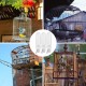Pack of 3 Automatic Budgies Feeder for Bird Bath Cage, Bird Feeder Drinker for Cage, Bird Water Dispenser, Feeding Bowl, Bird Cage, Transparent Content 120 ml for Ornamental Birds, Parrots, Pigeons Pack of 3 Automatic Budgies Feeder for Bird Bath Cage, Bird Feeder Drinker for Cage, Bird Water Dispenser, Feeding Bowl, Bird Cage, Transparent Content 120 ml for Ornamental Birds, Parrots, Pigeons