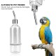 Parrot Water Feeder Hanging Water Bottle No Drip Dispenser Pet Supplies with Stainless Steel Ball Nipple for Small Animals Bird Hamster Rabbit Chinchilla Ferret [L] Breeding Aids
