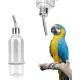 Parrot Water Feeder Hanging Water Bottle No Drip Dispenser Pet Supplies with Stainless Steel Ball Nipple for Small Animals Bird Hamster Rabbit Chinchilla Ferret [L] Breeding Aids