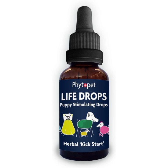 PhytoPet Lebens-Tropfen | Natürlicher Kräuterstimulant für Neugeborene & Ältere Haustiere | Ideal für Welpen, Kätzchen, Vögel, Fohlen | 10ml PhytoPet Lebens-Tropfen | Natürlicher Kräuterstimulant für Neugeborene & Ältere Haustiere | Ideal für Welpen, Kätzchen, Vögel, Fohlen | 10ml