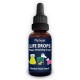 PhytoPet Lebens-Tropfen | Natürlicher Kräuterstimulant für Neugeborene & Ältere Haustiere | Ideal für Welpen, Kätzchen, Vögel, Fohlen | 10ml PhytoPet Lebens-Tropfen | Natürlicher Kräuterstimulant für Neugeborene & Ältere Haustiere | Ideal für Welpen, Kätzchen, Vögel, Fohlen | 10ml