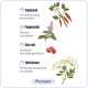 PhytoPet Lebens-Tropfen | Natürlicher Kräuterstimulant für Neugeborene & Ältere Haustiere | Ideal für Welpen, Kätzchen, Vögel, Fohlen | 10ml PhytoPet Lebens-Tropfen | Natürlicher Kräuterstimulant für Neugeborene & Ältere Haustiere | Ideal für Welpen, Kätzchen, Vögel, Fohlen | 10ml