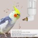 Qcwwy Bird Bath Automatic Parrot Drinker (White) Qcwwy Bird Bath Automatic Parrot Drinker (White)