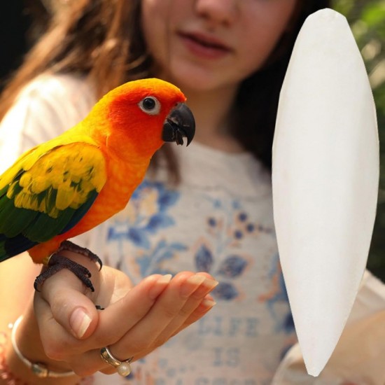 Sepiaschale Für Vögel - Natürliches Kalzium Für Papageien Und Ziervögel,Nahrungsergänzung Für Ziervögel Wie Sperlingspapageien Aras Sittiche Nymphensittiche Sepiaschale Für Vögel - Natürliches Kalzium Für Papageien Und Ziervögel,Nahrungsergänzung Für Ziervögel Wie Sperlingspapageien Aras Sittiche Nymphensittiche