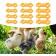 Weldphur Baby Chick Leg Hobbles - Pack of 12 Chick Splayleg Walking Aid Bands | Health Care for Chicks Ducks Birds