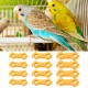 Weldphur Baby Chick Leg Hobbles - Pack of 12 Chick Splayleg Walking Aid Bands | Health Care for Chicks Ducks Birds