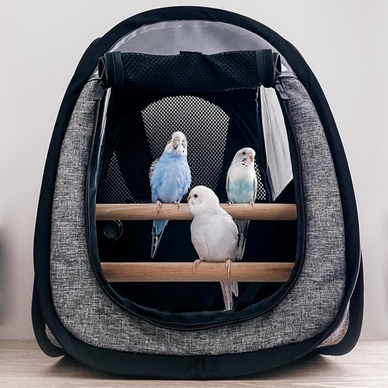 Akinerri Bird Travel Bag Small Bird Travel Bag Transparent Breathable Travel Cage Bird Cage Parrot Transport Box Includes Perch and Bottom Tray Akinerri Bird Travel Bag Small Bird Travel Bag Transparent Breathable Travel Cage Bird Cage Parrot Transport Box Includes Perch and Bottom Tray