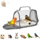 Bird Carrier Bag, Travel Carry Bag, Fully Transparent, 19.5 x 26 x 19 cm, Portable Bird Carrier with Plastic Shell, Wooden Pole, Travel Cage for Small Pets, 1 Molar Stone Bird Carrier Bag, Travel Carry Bag, Fully Transparent, 19.5 x 26 x 19 cm, Portable Bird Carrier with Plastic Shell, Wooden Pole, Travel Cage for Small Pets, 1 Molar Stone