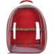 Bird Carrier, Bird Pet Parrot Carrier Cage Backpack Stands Wooden Travel Portable Breathable Bag, Bird Travel Cage, Lightweight Transparent Bird Travel Carrier, PVC Transparent Parrots Travel
