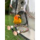 Bird Carrier for Travel, Transparent Bird Box with Metal Tray and Standing Pole for Parakeets, Parrots, Budgies, Cockatiels (Grey) Bird Carrier for Travel, Transparent Bird Box with Metal Tray and Standing Pole for Parakeets, Parrots, Budgies, Cockatiels (Grey)