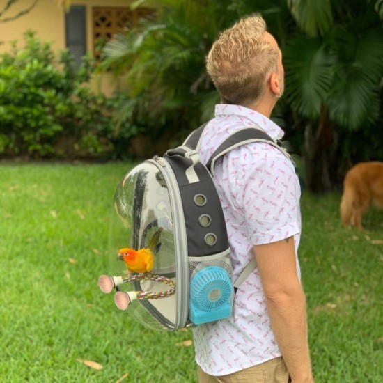 Bird Carrier for Travel, Transparent Bird Box with Metal Tray and Standing Pole for Parakeets, Parrots, Budgies, Cockatiels (Grey) Bird Carrier for Travel, Transparent Bird Box with Metal Tray and Standing Pole for Parakeets, Parrots, Budgies, Cockatiels (Grey)