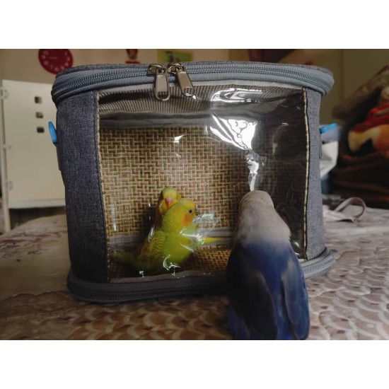 CiCixixi Transport Container for Birds, Bird Cage Budgie, Bird Transport Box, Portable Bird Carrier Travel Bag, Transparent Breathable Travel Cage for Pets, Grey CiCixixi Transport Container for Birds, Bird Cage Budgie, Bird Transport Box, Portable Bird Carrier Travel Bag, Transparent Breathable Travel Cage for Pets, Grey
