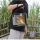 CiCixixi Transport Container for Birds, Bird Cage Budgie, Bird Transport Box, Portable Bird Carrier Travel Bag, Transparent Breathable Travel Cage for Pets, Grey