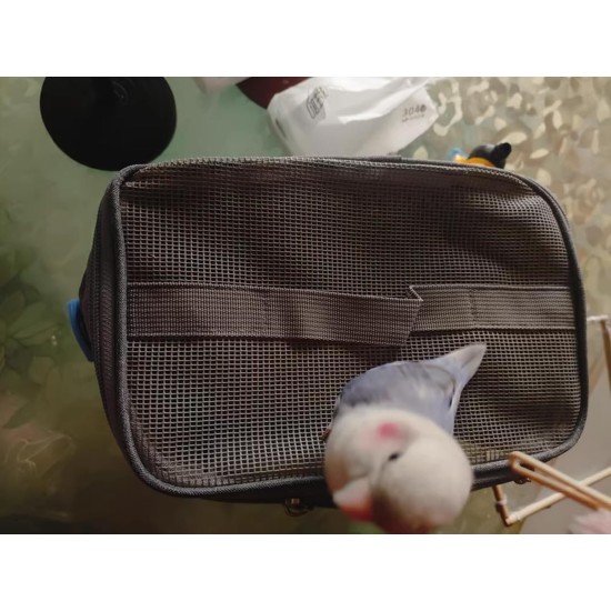 CiCixixi Transport Container for Birds, Bird Cage Budgie, Bird Transport Box, Portable Bird Carrier Travel Bag, Transparent Breathable Travel Cage for Pets, Grey CiCixixi Transport Container for Birds, Bird Cage Budgie, Bird Transport Box, Portable Bird Carrier Travel Bag, Transparent Breathable Travel Cage for Pets, Grey