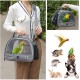 Esforzarse Grey Bird Travel Carrier with Stand and Stainless Steel Tray, Transparent Breathable Travel Cage Portable for Small Birds Parrots Parakeets Cockatiels Cockatiels Cockatiels for Esforzarse Grey Bird Travel Carrier with Stand and Stainless Steel Tray, Transparent Breathable Travel Cage Portable for Small Birds Parrots Parakeets Cockatiels Cockatiels Cockatiels for