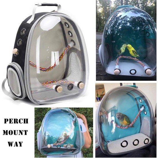 Interfashioner® Bird Travel Bag for Parakeets, Parrots, Cockatiels, Small Birds, Bird Travel Bag with Metal Tray and Standing Pole (Blue) Interfashioner® Bird Travel Bag for Parakeets, Parrots, Cockatiels, Small Birds, Bird Travel Bag with Metal Tray and Standing Pole (Blue)