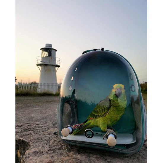 Interfashioner® Bird Travel Bag for Parakeets, Parrots, Cockatiels, Small Birds, Bird Travel Bag with Metal Tray and Standing Pole (Blue) Interfashioner® Bird Travel Bag for Parakeets, Parrots, Cockatiels, Small Birds, Bird Travel Bag with Metal Tray and Standing Pole (Blue)