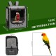 SUERTREE Transport Container for Birds, Bird Transport Box, Bird Cage Budgie, Portable Bird Carrier Travel Bag, Transparent Breathable Travel Cage for Pets SUERTREE Transport Container for Birds, Bird Transport Box, Bird Cage Budgie, Portable Bird Carrier Travel Bag, Transparent Breathable Travel Cage for Pets