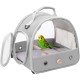 Small Bird Carrier Carrier Portable Bird Cage for Parrots Parakeets Budgies Reptile with Soft Mat and Wooden Stand (Green) Small Bird Carrier Carrier Portable Bird Cage for Parrots Parakeets Budgies Reptile with Soft Mat and Wooden Stand (Green)