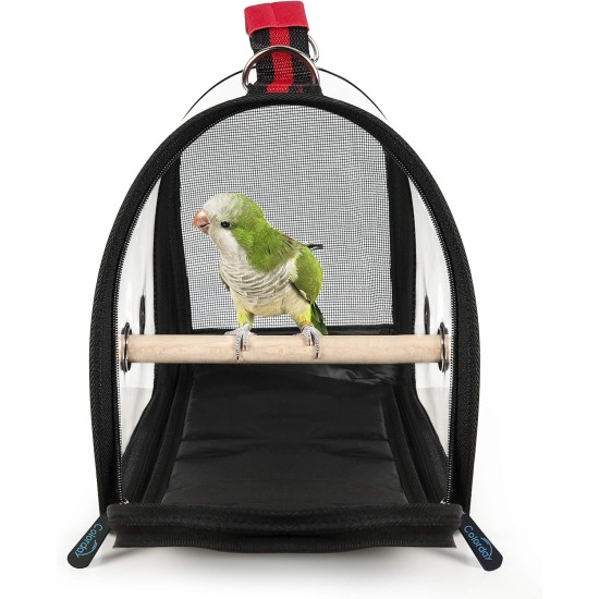 Transport container for birds: transport bag, lightweight, transparent, breathable, safe, bird carrier, transport cage Transport container for birds: transport bag, lightweight, transparent, breathable, safe, bird carrier, transport cage