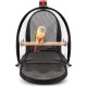 Transport container for birds: transport bag, lightweight, transparent, breathable, safe, bird carrier, transport cage Transport container for birds: transport bag, lightweight, transparent, breathable, safe, bird carrier, transport cage
