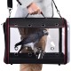Transport container for birds: transport bag, lightweight, transparent, breathable, safe, bird carrier, transport cage Transport container for birds: transport bag, lightweight, transparent, breathable, safe, bird carrier, transport cage