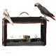 Transport container for birds: transport bag, lightweight, transparent, breathable, safe, bird carrier, transport cage Transport container for birds: transport bag, lightweight, transparent, breathable, safe, bird carrier, transport cage