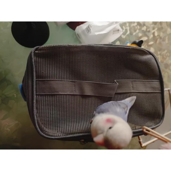 Transportbehälter für Vögel, Vogelkäfig Wellensittich, Vogel transportbox, Tragbare Vogelträger Reisetasche, Transparent atmungsaktiver Reisekäfig für Haustiere,Grau Transportbehälter für Vögel, Vogelkäfig Wellensittich, Vogel transportbox, Tragbare Vogelträger Reisetasche, Transparent atmungsaktiver Reisekäfig für Haustiere,Grau