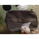 Transportbehälter für Vögel, Vogelkäfig Wellensittich, Vogel transportbox, Tragbare Vogelträger Reisetasche, Transparent atmungsaktiver Reisekäfig für Haustiere,Grau Transportbehälter für Vögel, Vogelkäfig Wellensittich, Vogel transportbox, Tragbare Vogelträger Reisetasche, Transparent atmungsaktiver Reisekäfig für Haustiere,Grau