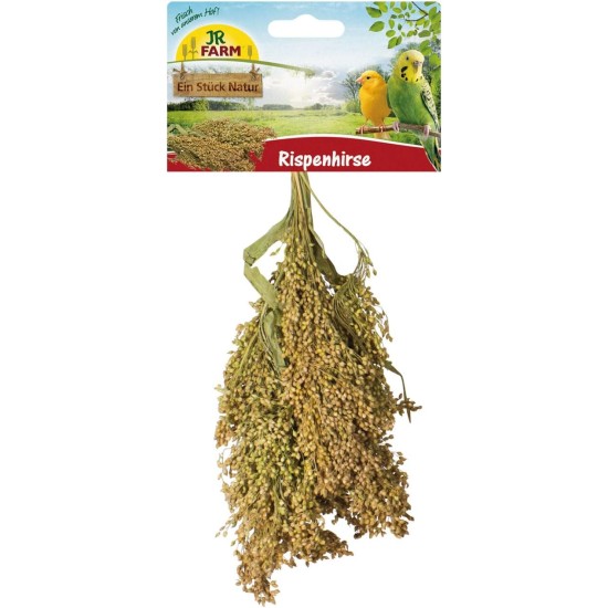 JR FARM Birds Panicle Millet 100 g JR FARM Birds Panicle Millet 100 g